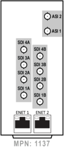 RM20-ULL-DEC-A-HDBNC